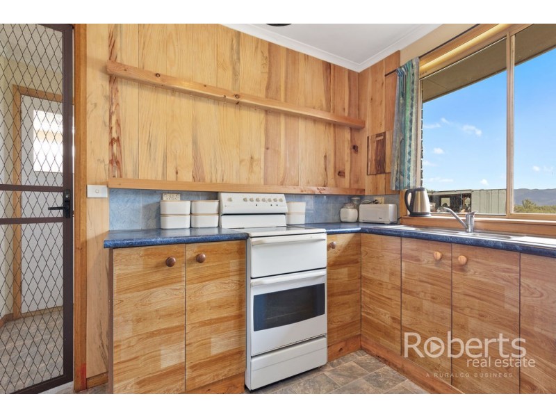 364 Mathinna Plains Road, Ringarooma TAS 7263