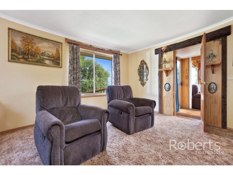 364 Mathinna Plains Road, Ringarooma TAS 7263