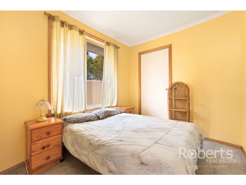 364 Mathinna Plains Road, Ringarooma TAS 7263