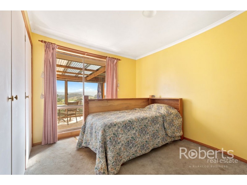 364 Mathinna Plains Road, Ringarooma TAS 7263