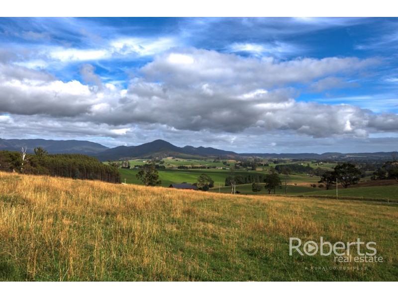 364 Mathinna Plains Road, Ringarooma TAS 7263