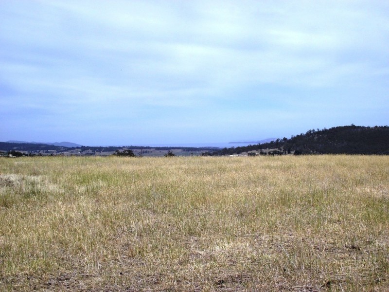 531 Delmore Road, Wattle Hill TAS 7172