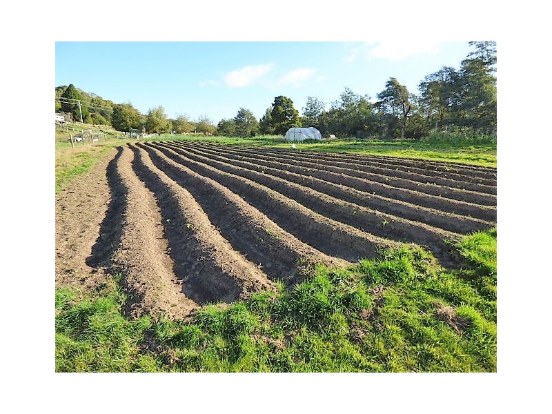 7 Pearce Street, Branxholm TAS 7261