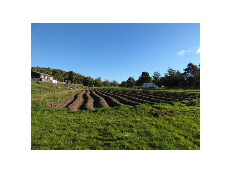 7 Pearce Street, Branxholm TAS 7261