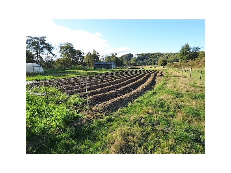 7 Pearce Street, Branxholm TAS 7261