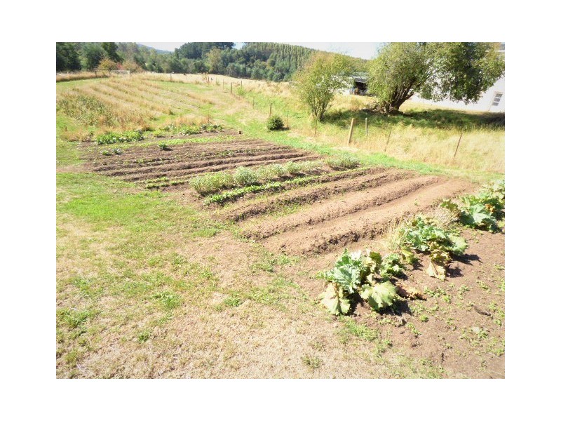 7 Pearce Street, Branxholm TAS 7261