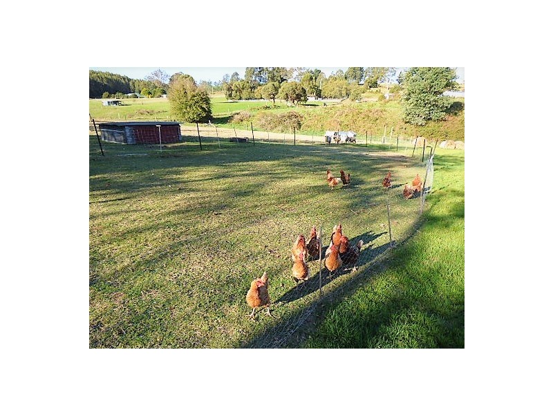 7 Pearce Street, Branxholm TAS 7261