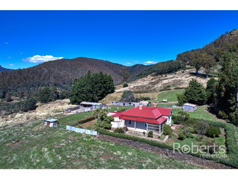 543 Mathinna Plains Road, Ringarooma TAS 7263