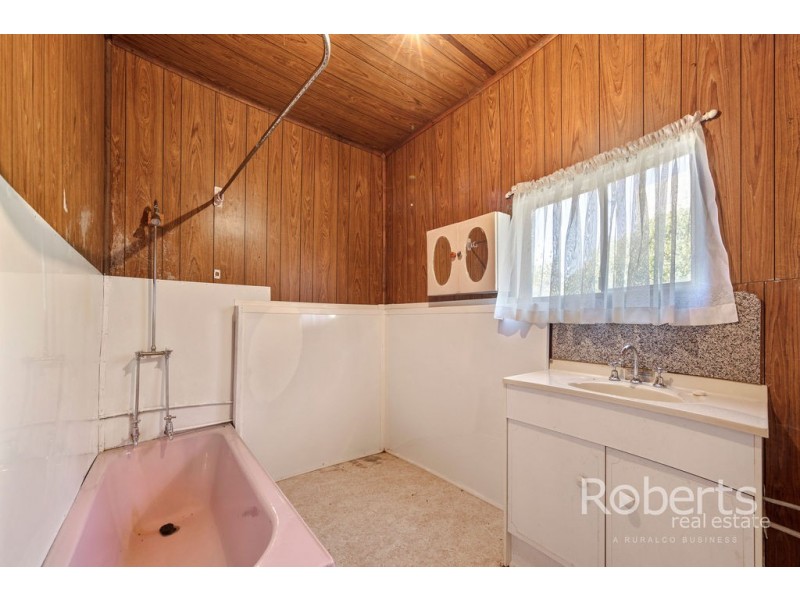 543 Mathinna Plains Road, Ringarooma TAS 7263