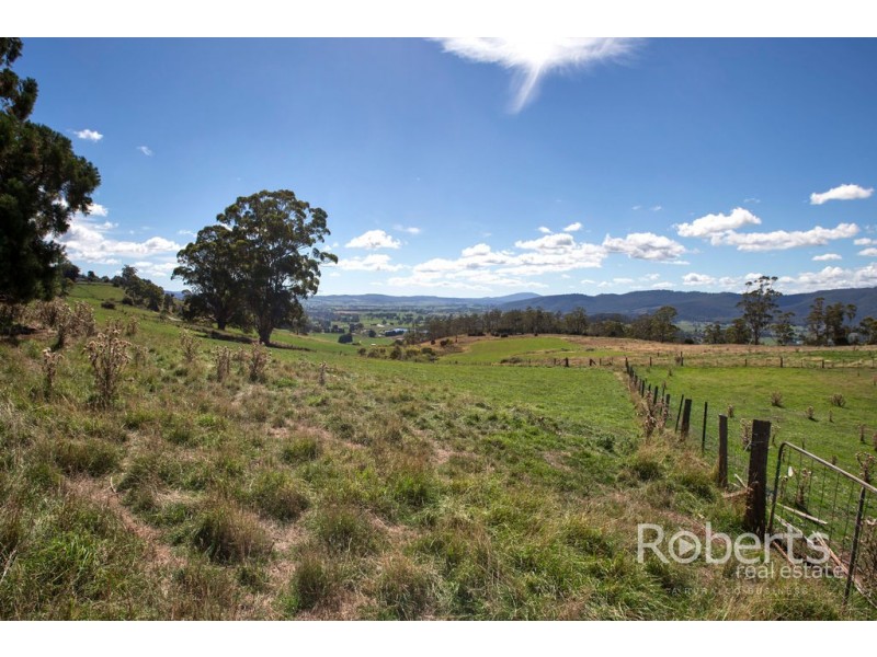 543 Mathinna Plains Road, Ringarooma TAS 7263