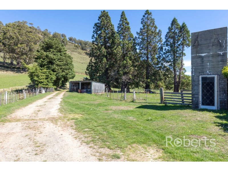 543 Mathinna Plains Road, Ringarooma TAS 7263