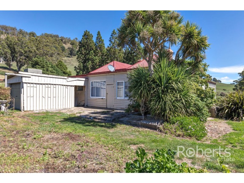 543 Mathinna Plains Road, Ringarooma TAS 7263
