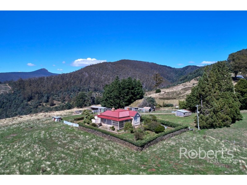 543 Mathinna Plains Road, Ringarooma TAS 7263