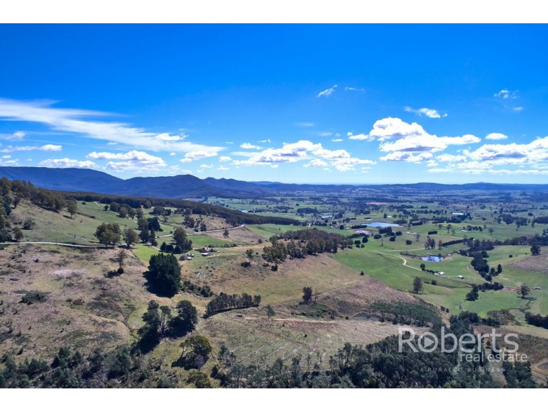 543 Mathinna Plains Road, Ringarooma TAS 7263