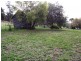 192 Shrub End Road, Wattle Hill TAS 7172