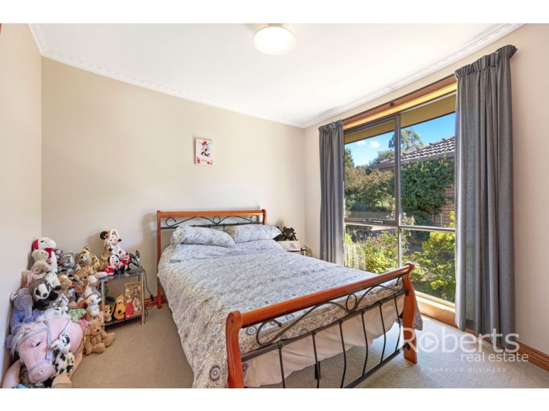 36 Ringarooma Road, Scottsdale TAS 7260