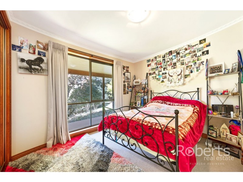 36 Ringarooma Road, Scottsdale TAS 7260