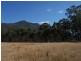 105 Mt Arthur Road, Patersonia TAS 7259