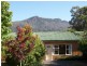 105 Mt Arthur Road, Patersonia TAS 7259