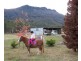 105 Mt Arthur Road, Patersonia TAS 7259