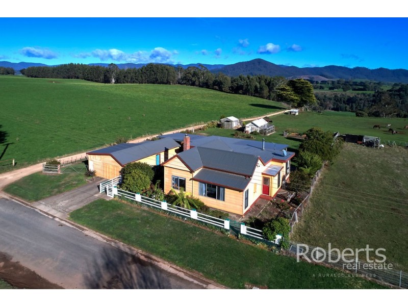 24 Frederick Street, Ringarooma TAS 7263
