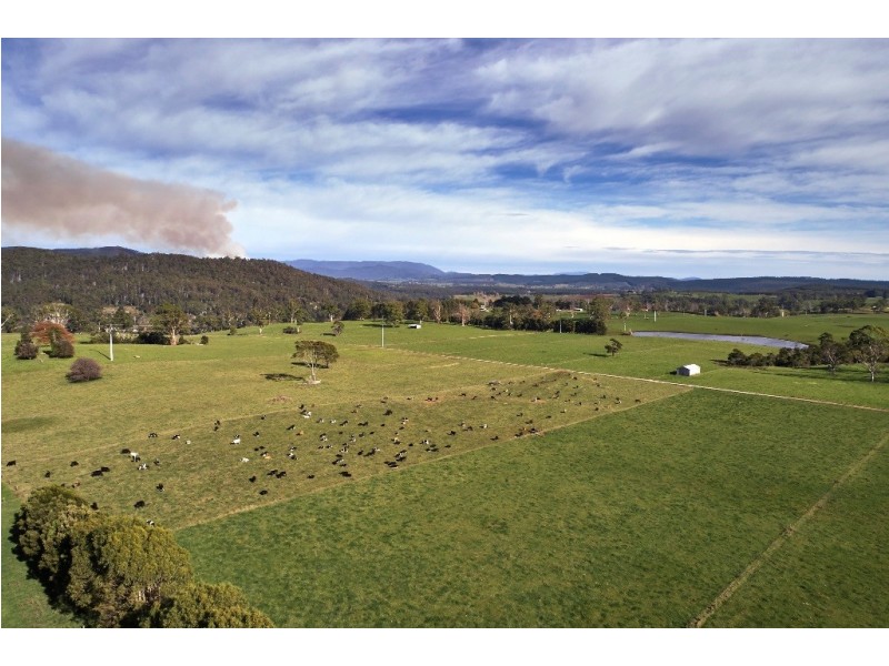 . Derby Station Road and Derby Back Road, Derby TAS 7264