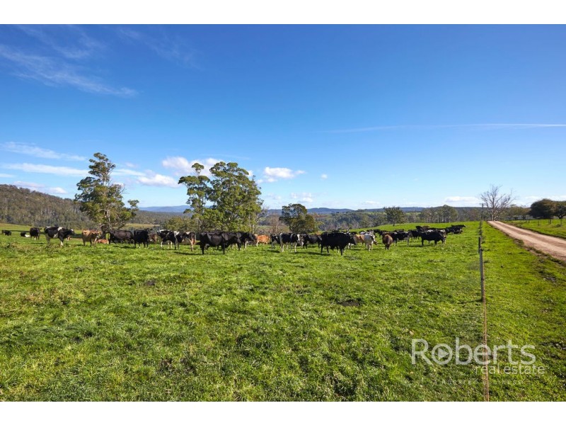 . Derby Station Road and Derby Back Road, Derby TAS 7264