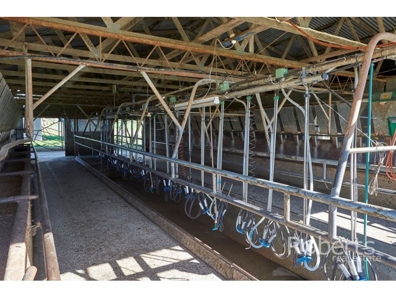 . Derby Station Road and Derby Back Road, Derby TAS 7264