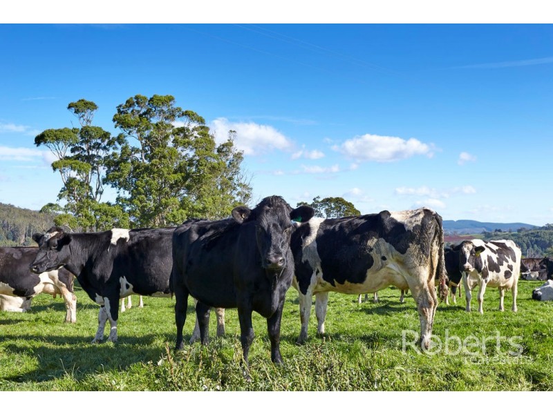 . Derby Station Road and Derby Back Road, Derby TAS 7264