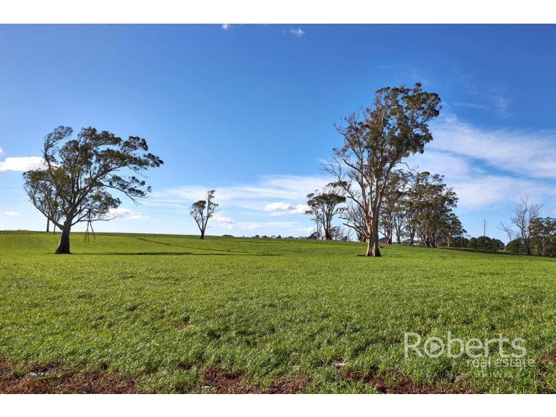 . Derby Station Road and Derby Back Road, Derby TAS 7264