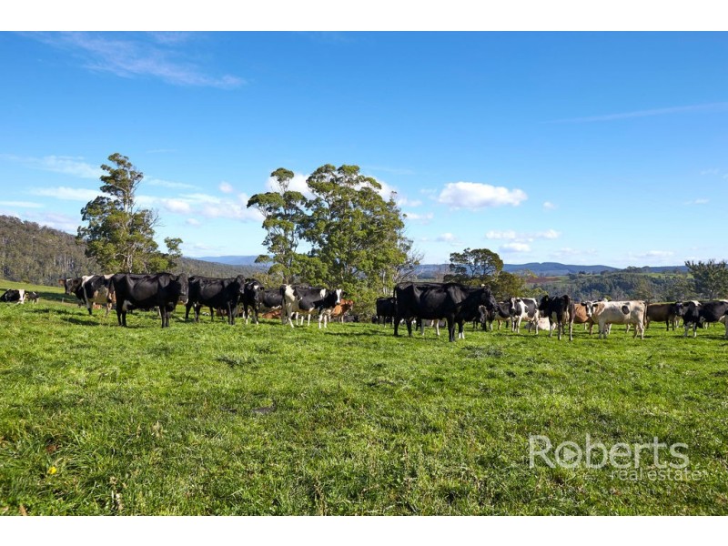 . Derby Station Road and Derby Back Road, Derby TAS 7264