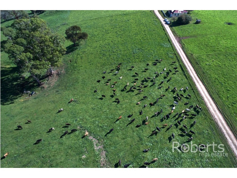 . Derby Station Road and Derby Back Road, Derby TAS 7264