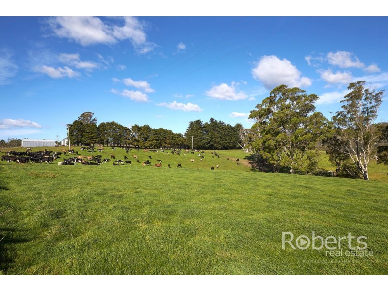 . Derby Station Road and Derby Back Road, Derby TAS 7264