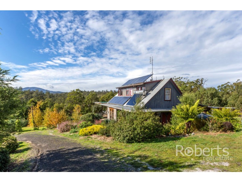 1453 Forester Road, North Scottsdale TAS 7260