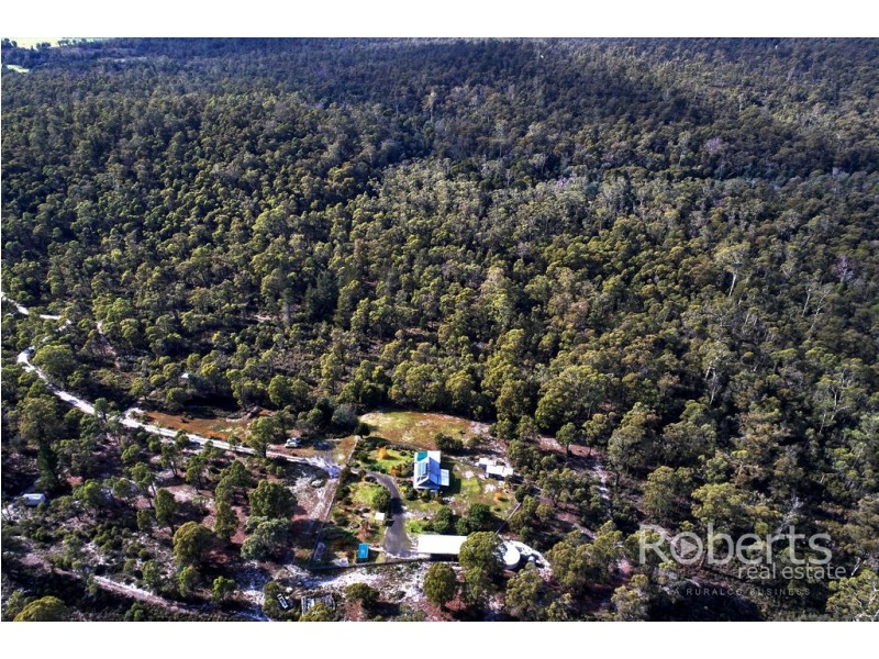 1453 Forester Road, North Scottsdale TAS 7260