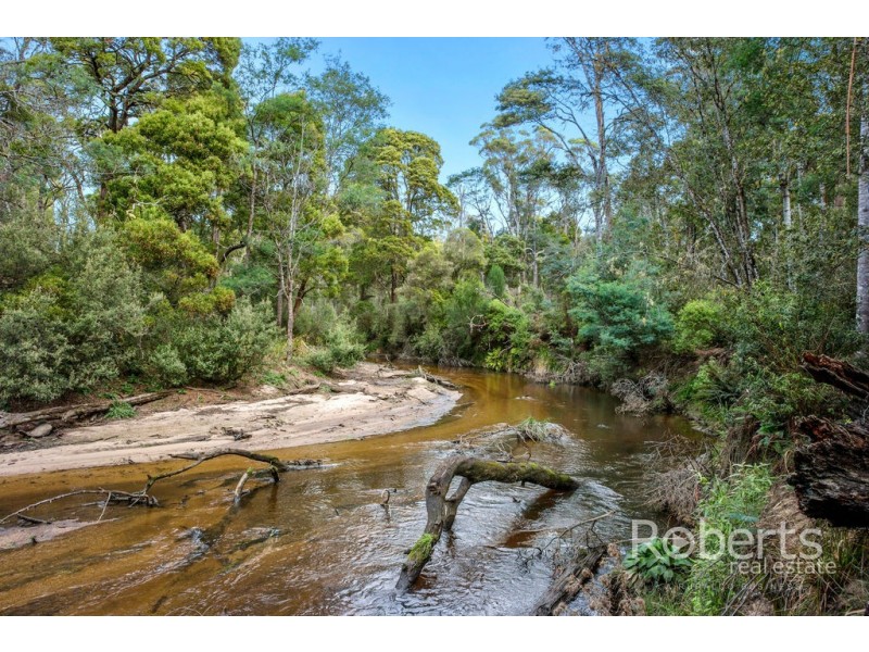 1453 Forester Road, North Scottsdale TAS 7260