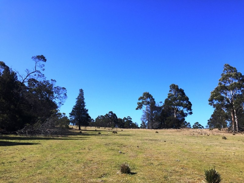 Lot 1 Bresnehans Road, Little Swanport TAS 7190