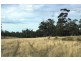 Lot 1 Bresnehans Road, Little Swanport TAS 7190