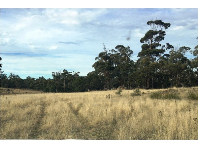 Lot 1 Bresnehans Road, Little Swanport TAS 7190
