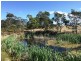 Lot 1 Bresnehans Road, Little Swanport TAS 7190