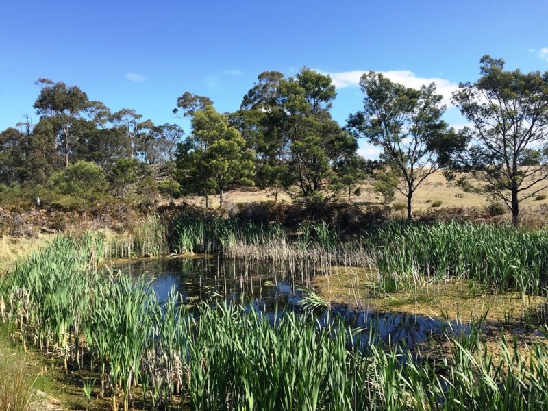 Lot 1 Bresnehans Road, Little Swanport TAS 7190