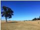 Lot 1 Bresnehans Road, Little Swanport TAS 7190