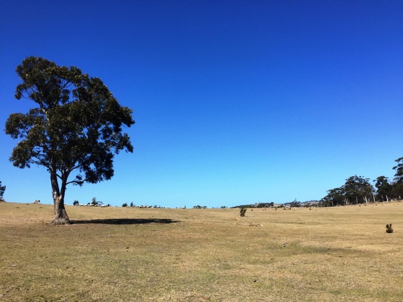 Lot 1 Bresnehans Road, Little Swanport TAS 7190