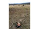 Lot 1 Bresnehans Road, Little Swanport TAS 7190