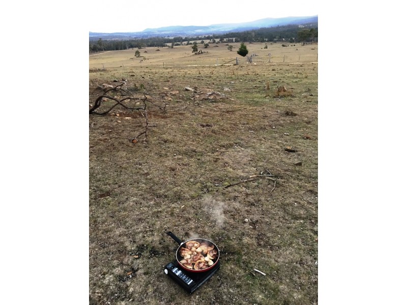 Lot 1 Bresnehans Road, Little Swanport TAS 7190