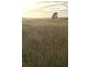 Lot 1 Bresnehans Road, Little Swanport TAS 7190