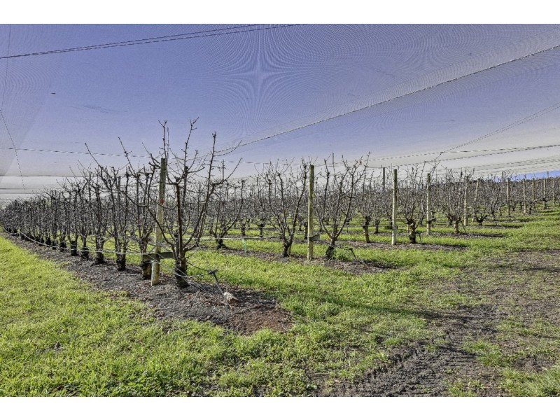 182 Pawleena Road, Sorell TAS 7172