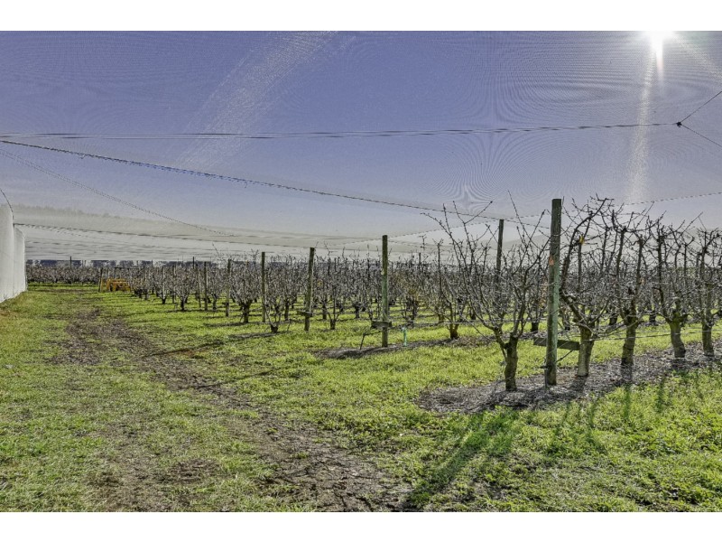 182 Pawleena Road, Sorell TAS 7172