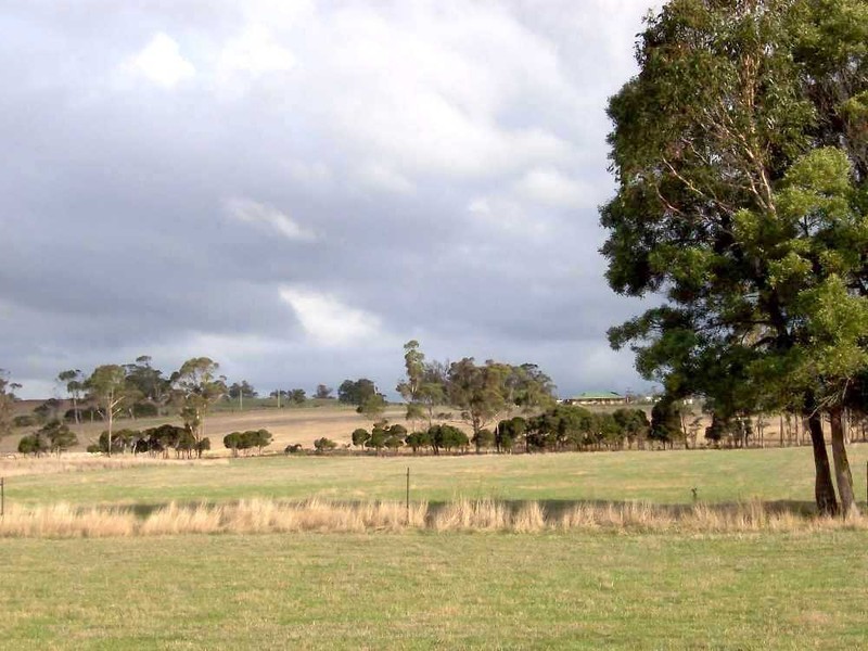 161 Back Creek Road, Pipers River TAS 7252