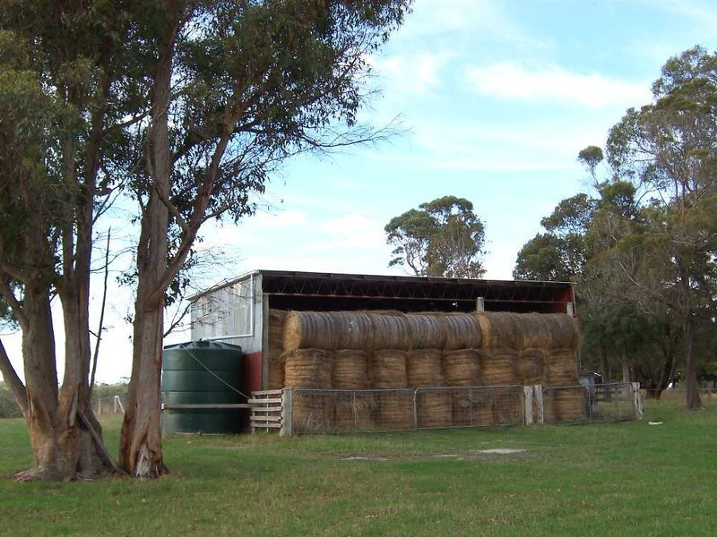 161 Back Creek Road, Pipers River TAS 7252